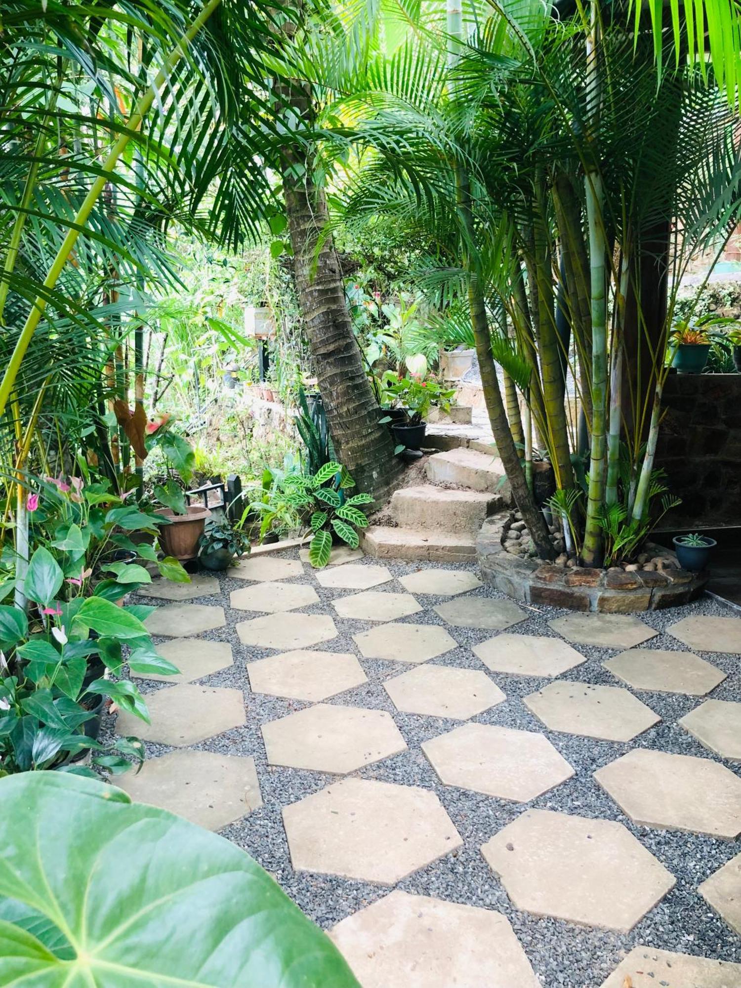 Апартаменты Sky Garden Элла Экстерьер фото